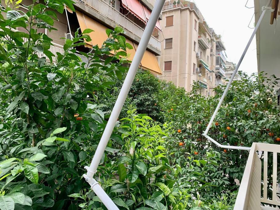Alexa'S Downtown Apartment 雅典 外观 照片